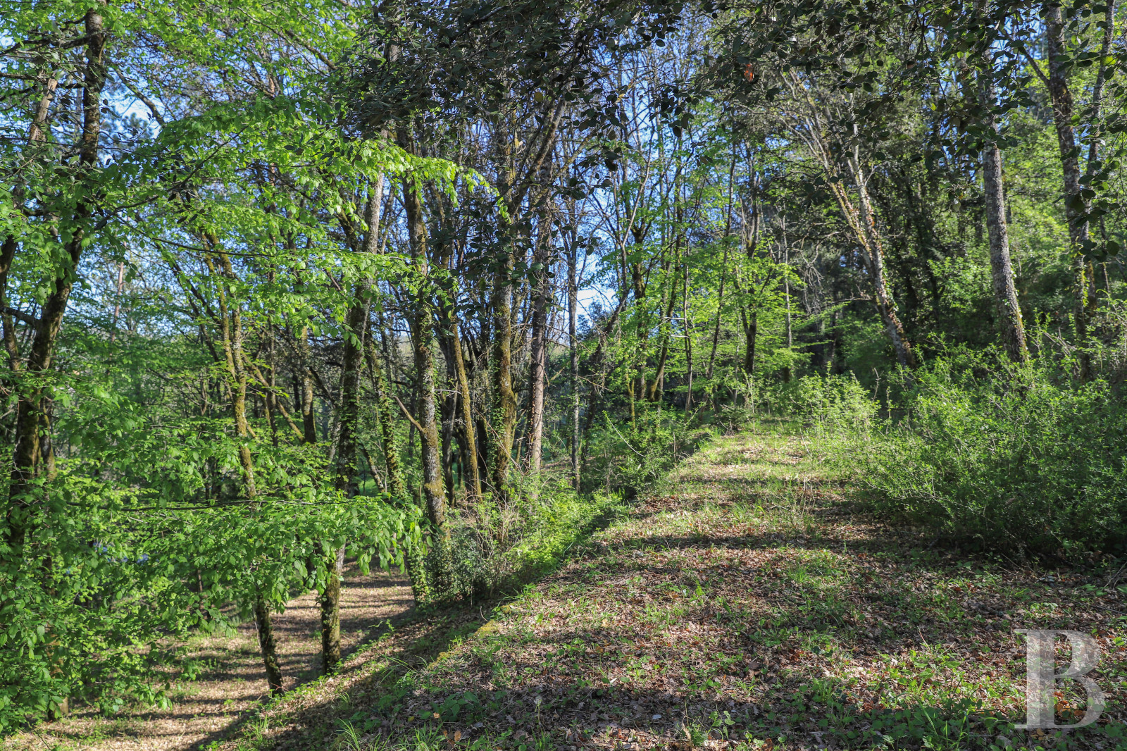 A 1920s house surrounded by a large park in the heart of Sarlat, in the Dordogne - photo  n°3